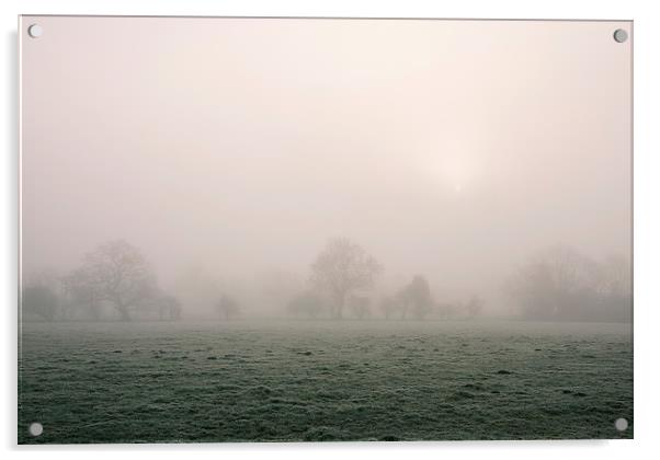 Morning frost and fog over rural countryside scene Acrylic by Liam Grant