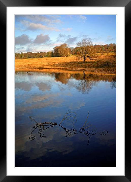  Peak Tranquility Framed Mounted Print by Darren Galpin