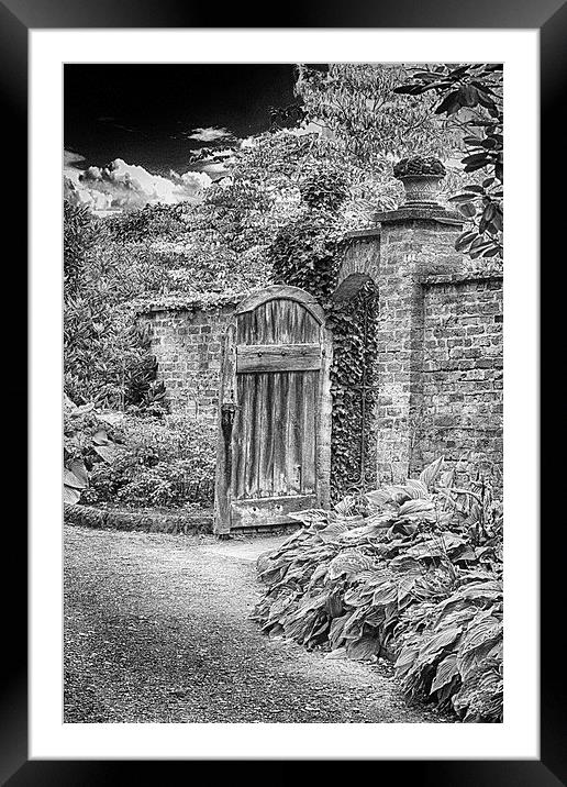 the Gate Framed Mounted Print by Angela Wallace