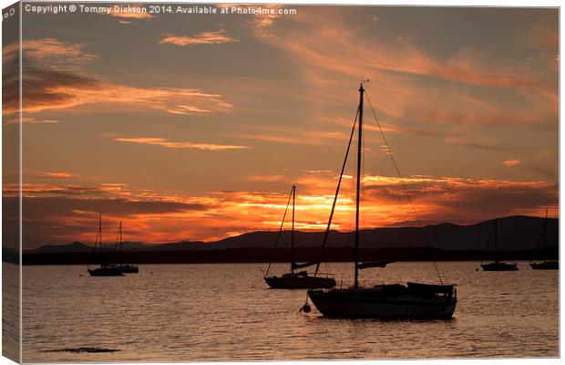 Sailboats at sunset. Canvas Print by Tommy Dickson