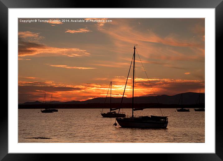Sailboats at sunset. Framed Mounted Print by Tommy Dickson