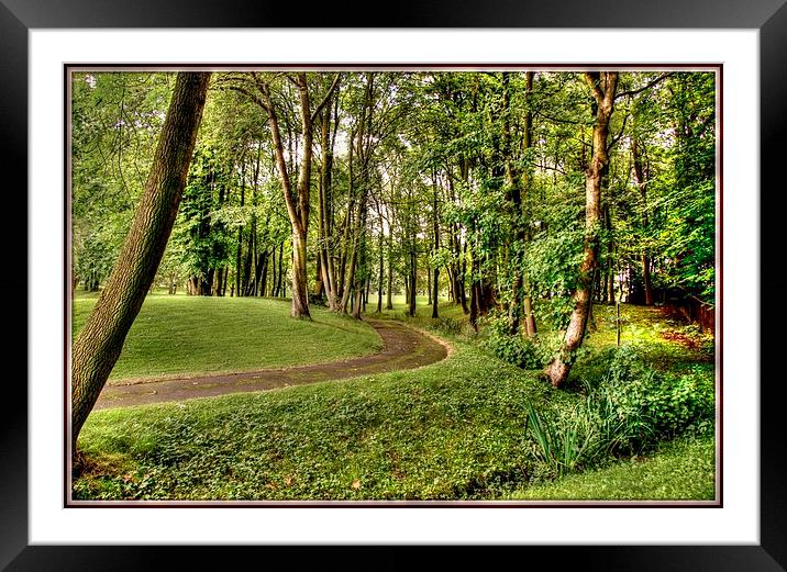 THE BEAUTY OF TREES Framed Mounted Print by len milner