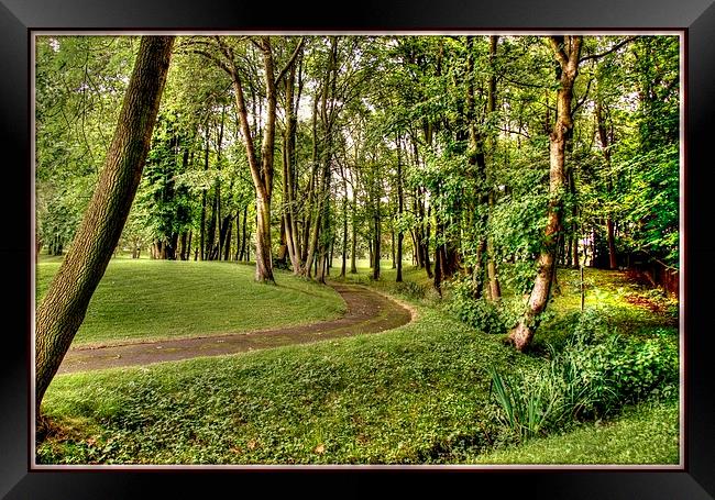 THE BEAUTY OF TREES Framed Print by len milner