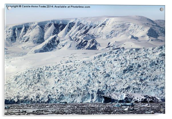 Glacier in Cierva Cove Antarctica Acrylic by Carole-Anne Fooks