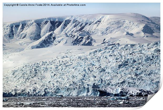 Glacier in Cierva Cove Antarctica Print by Carole-Anne Fooks
