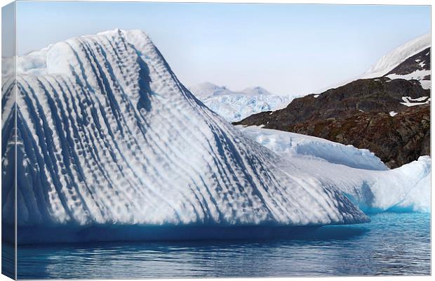 Iceberg & Mountains Antarctica Canvas Print by Carole-Anne Fooks