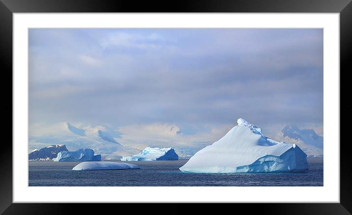 Cierva Cove Antarctica Framed Mounted Print by Carole-Anne Fooks