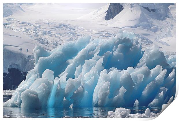Iceberg Cierva Cove Antarctica Print by Carole-Anne Fooks