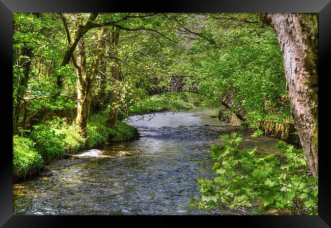 Ambleside River Cumbria  Framed Print by Diana Mower