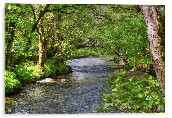 Ambleside River Cumbria  Acrylic by Diana Mower
