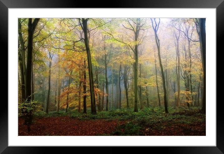 Autumn Mist Framed Mounted Print by Ceri Jones