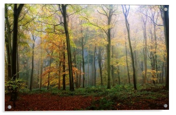 Autumn Mist Acrylic by Ceri Jones