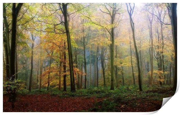 Autumn Mist Print by Ceri Jones