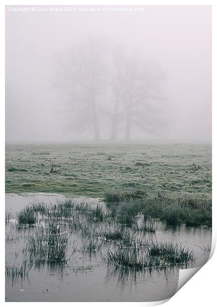 Morning frost and fog over rural countryside scene Print by Liam Grant
