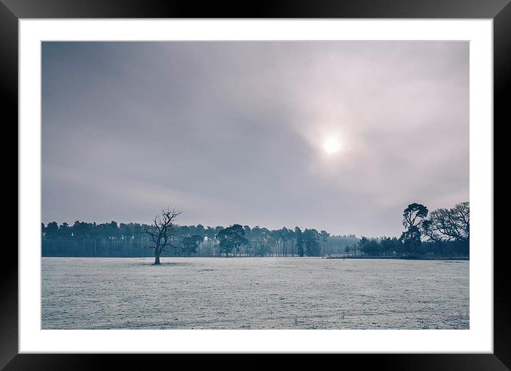 Morning frost over rural countryside scene. Framed Mounted Print by Liam Grant
