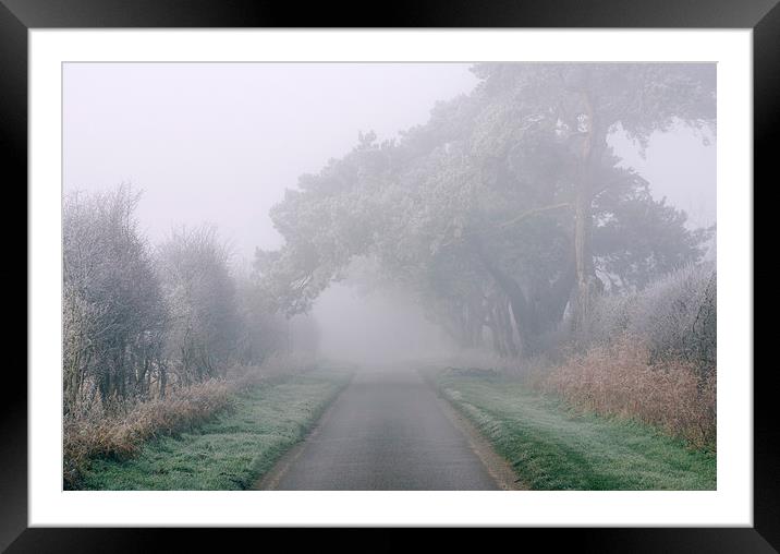 Frost covered trees over country road in morning f Framed Mounted Print by Liam Grant