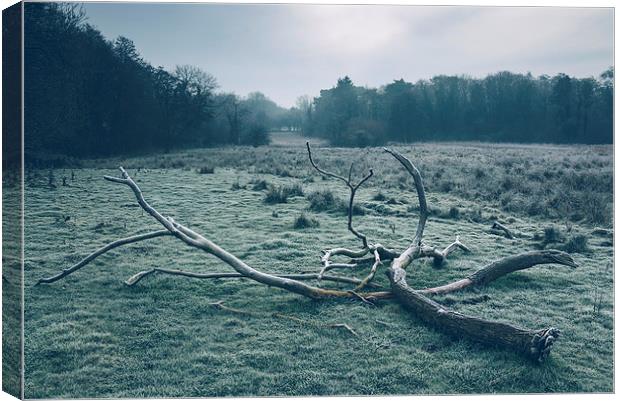 Morning frost over rural countryside scene. Canvas Print by Liam Grant