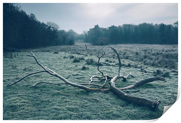 Morning frost over rural countryside scene. Print by Liam Grant