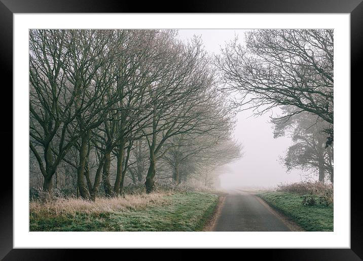 Morning frost and fog in deciduous woodland beside Framed Mounted Print by Liam Grant