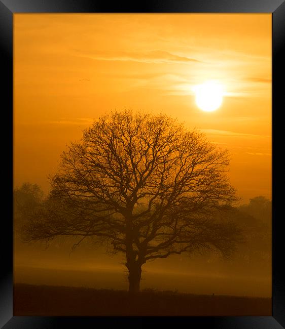 DUSK AT COBHAM Framed Print by Clive Eariss