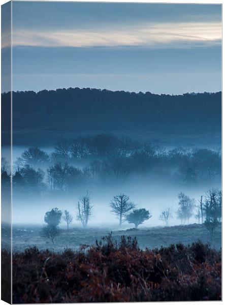 Misty Mogshade Morning Canvas Print by Phil Wareham