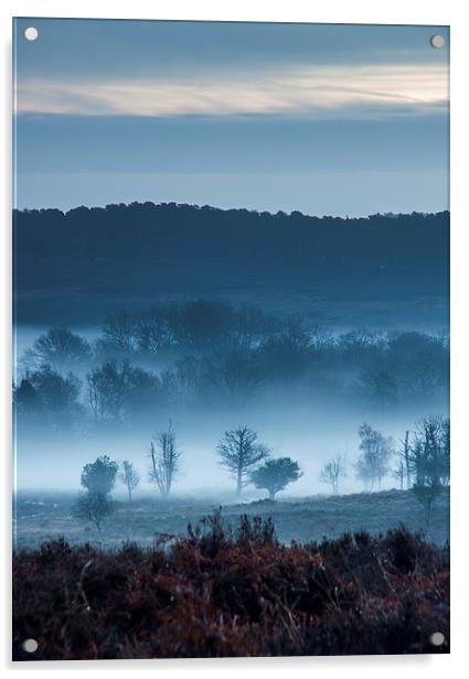 Misty Mogshade Morning Acrylic by Phil Wareham