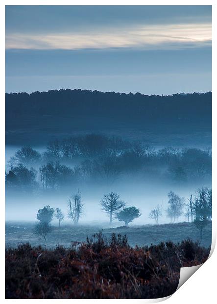 Misty Mogshade Morning Print by Phil Wareham