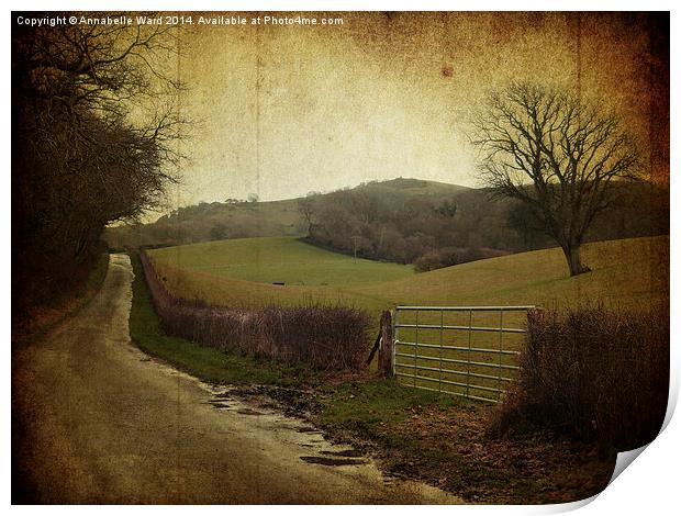 Godshill Farmland Print by Annabelle Ward