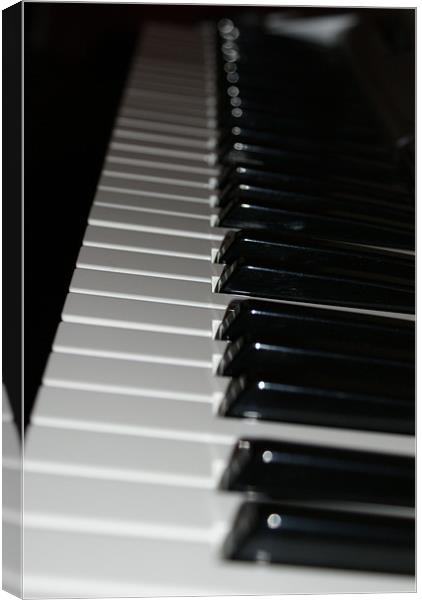 Piano Perspective Canvas Print by Luis Lajas