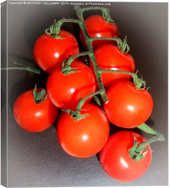 SIMPLY TOMATOES Canvas Print by Anthony Kellaway