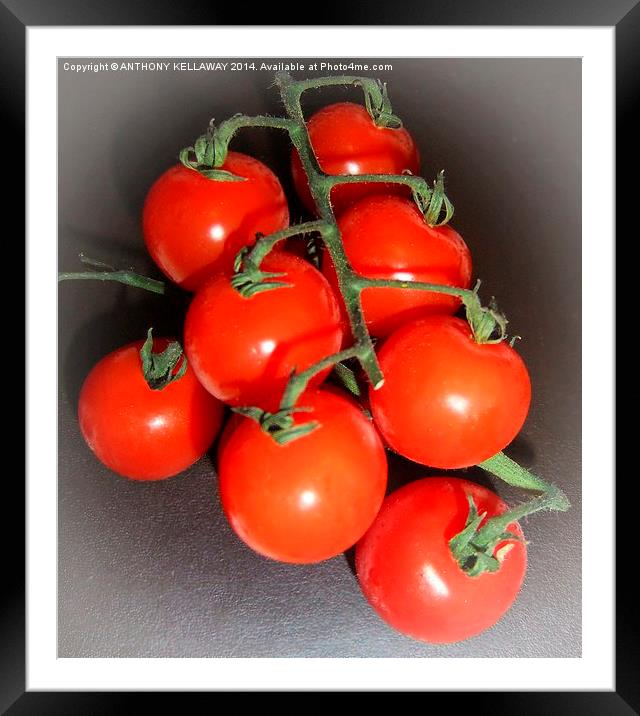 SIMPLY TOMATOES Framed Mounted Print by Anthony Kellaway