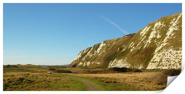 The White Cliffs Of Dover Print by Antoinette B