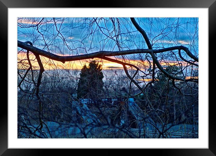 late afternoon Framed Mounted Print by mark lindsay