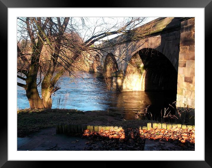 Winter at the River Eden Framed Mounted Print by Eleanor McCabe