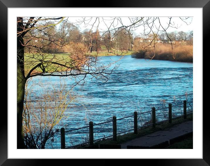 Winter at the River Eden 1 Framed Mounted Print by Eleanor McCabe