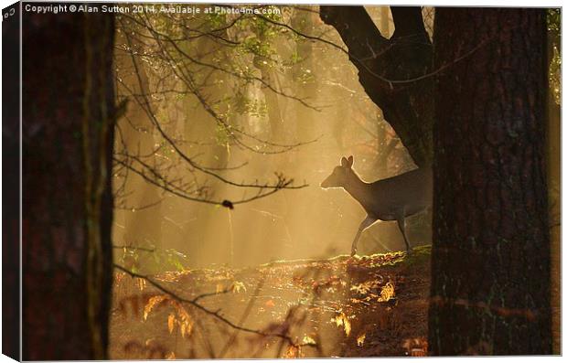 New Forest Sika Deer Canvas Print by Alan Sutton