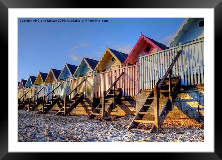 Mersea Evening light on Beach Huts Framed Mounted Print by Diana Mower