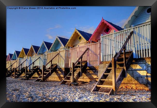 Mersea Evening light on Beach Huts Framed Print by Diana Mower