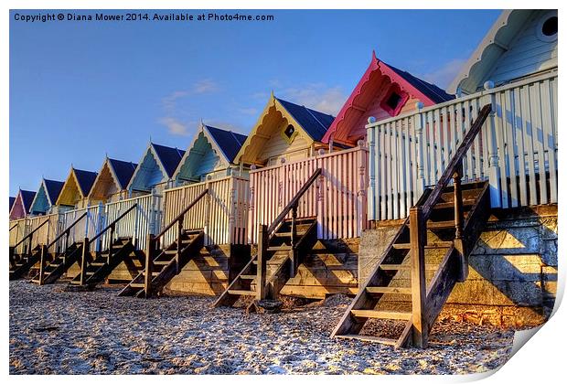 Mersea Evening light on Beach Huts Print by Diana Mower