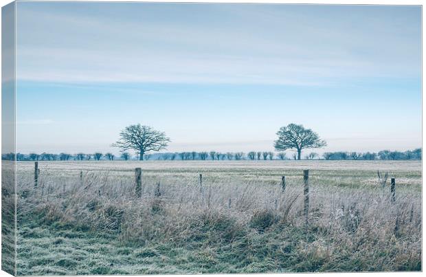 Morning frost over rural countryside scene. Canvas Print by Liam Grant