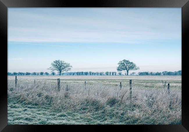 Morning frost over rural countryside scene. Framed Print by Liam Grant