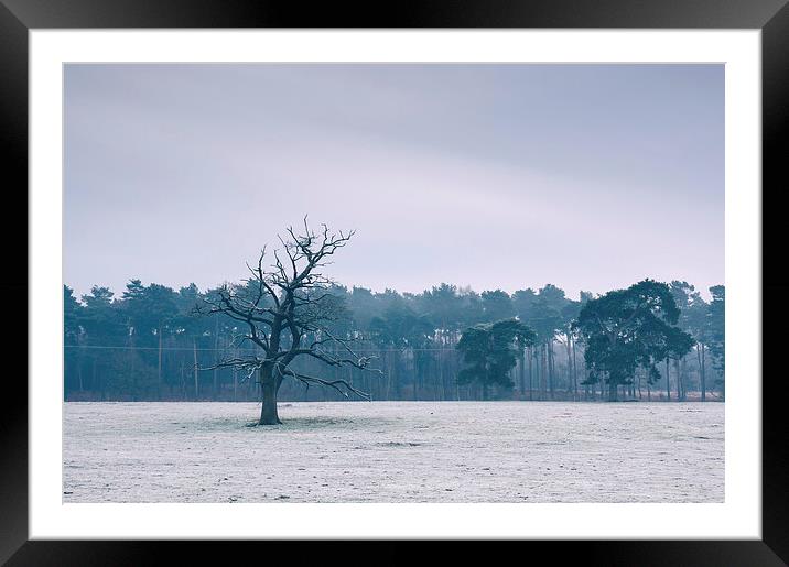 Morning frost over rural countryside scene. Framed Mounted Print by Liam Grant