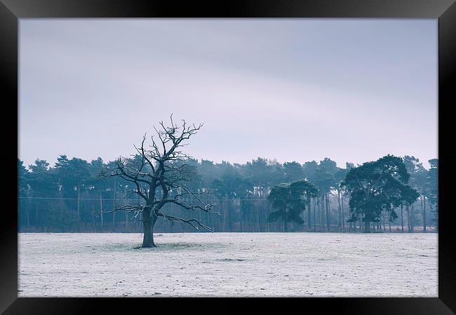 Morning frost over rural countryside scene. Framed Print by Liam Grant