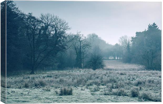 Morning frost over rural countryside scene. Canvas Print by Liam Grant