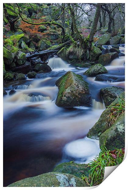 Mystical Burbage Brook Print by Angie Morton