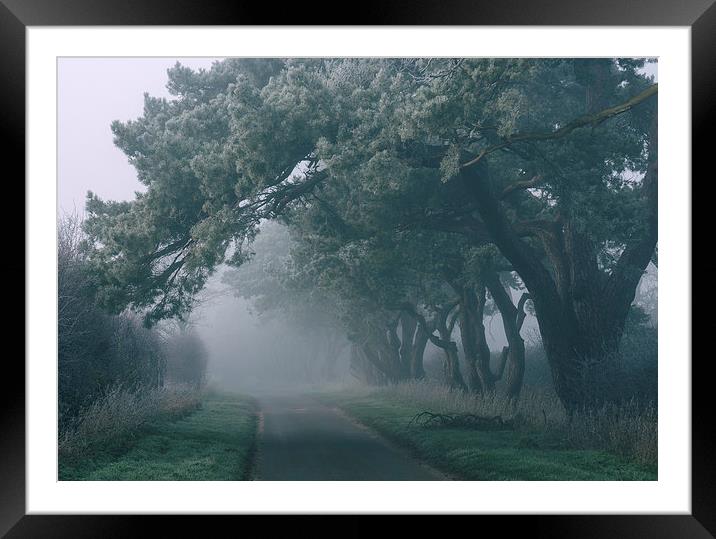 Frost covered trees over country road in morning f Framed Mounted Print by Liam Grant