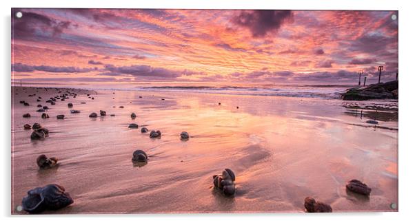 Sunrise and seashells Acrylic by Phil Wareham