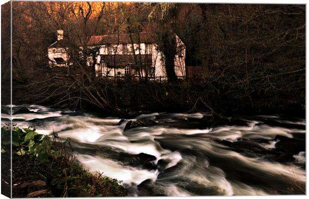 river runs wild Canvas Print by Alexia Miles