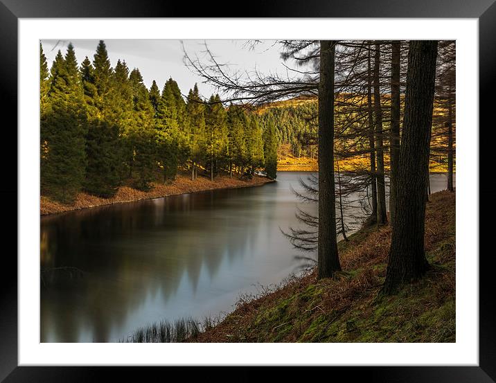 ....just some trees and water Framed Mounted Print by Jonathan Parkes