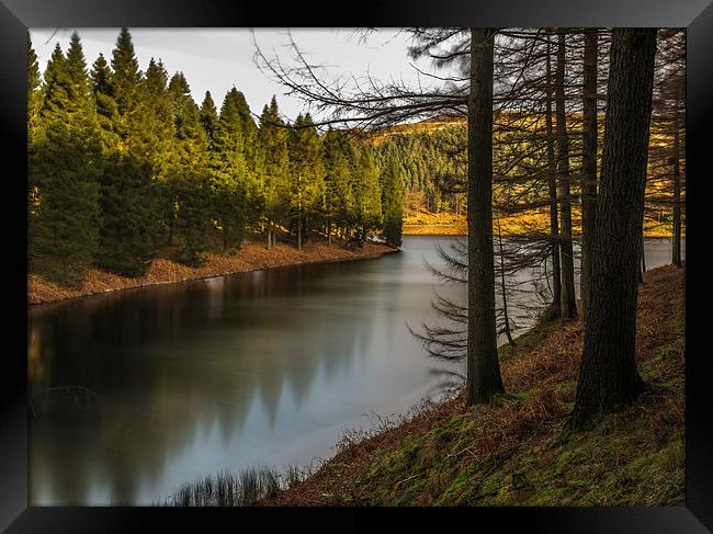 ....just some trees and water Framed Print by Jonathan Parkes